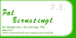 pal birnstingl business card